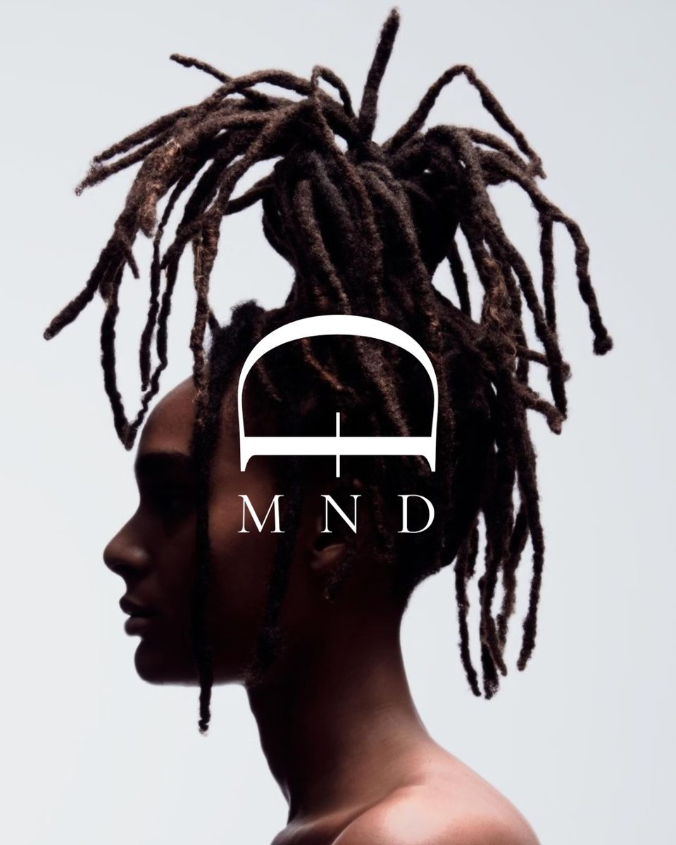 Une couronne de locks relevée, de profil